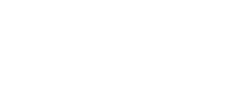 NTSMOSERIT LLC